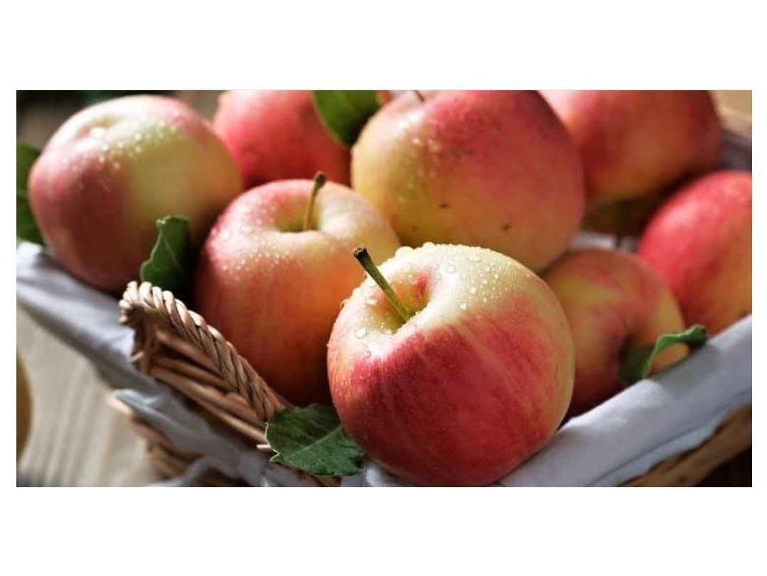 پيش‌بيني برداشت 3100 تن سيب از 192 هکتار باغ در شهرستان نور/ معيشت 480 باغدار وابسته به اين محصول