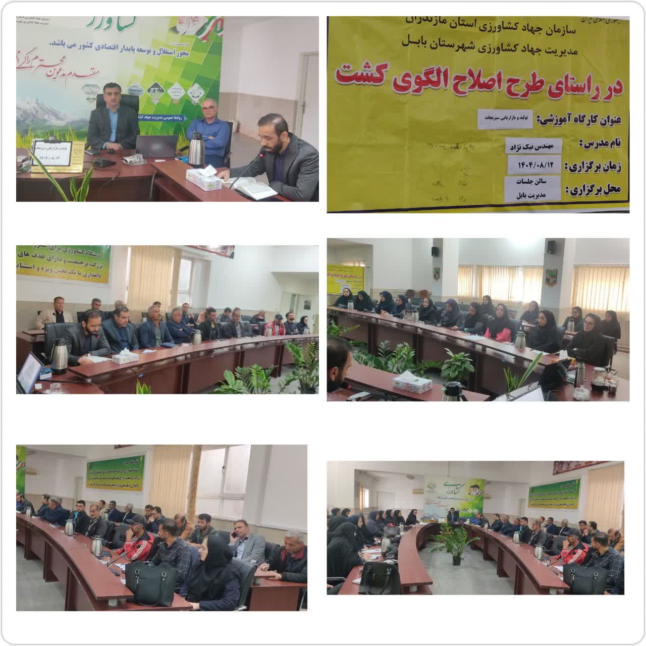 کارگاه آموزشي استاني توليد و بازاريابي سبزيجات در بابل