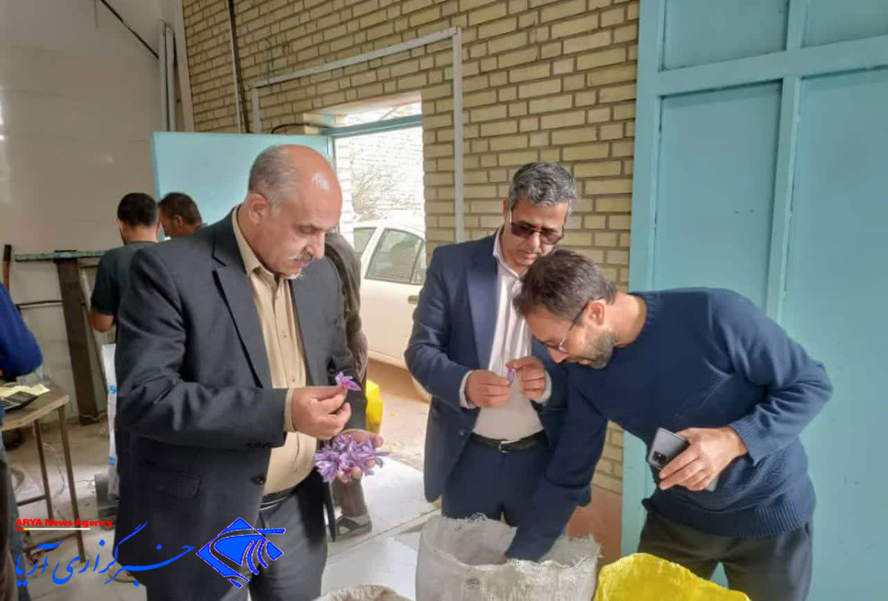 امضاي تفاهم‌نامه همکاري براي حمايت از زعفران‌کاران وامنان