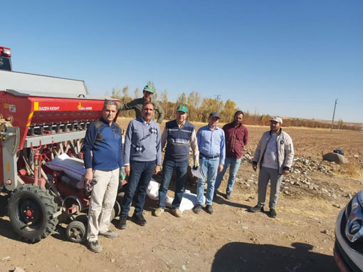 آغاز کشت پايگاه نوآوري در قالب طرح پايداري توليد در ديمزارهاي شهرستان مراغه