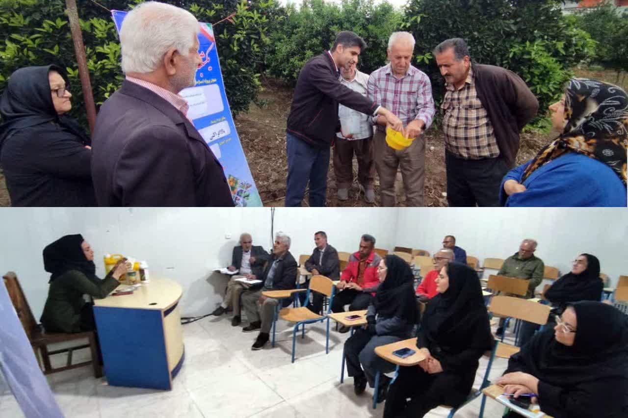 آموزش و پيشگيري از خسارت آفت مگس ميوه مديترانه اي در قائم شهر  ?