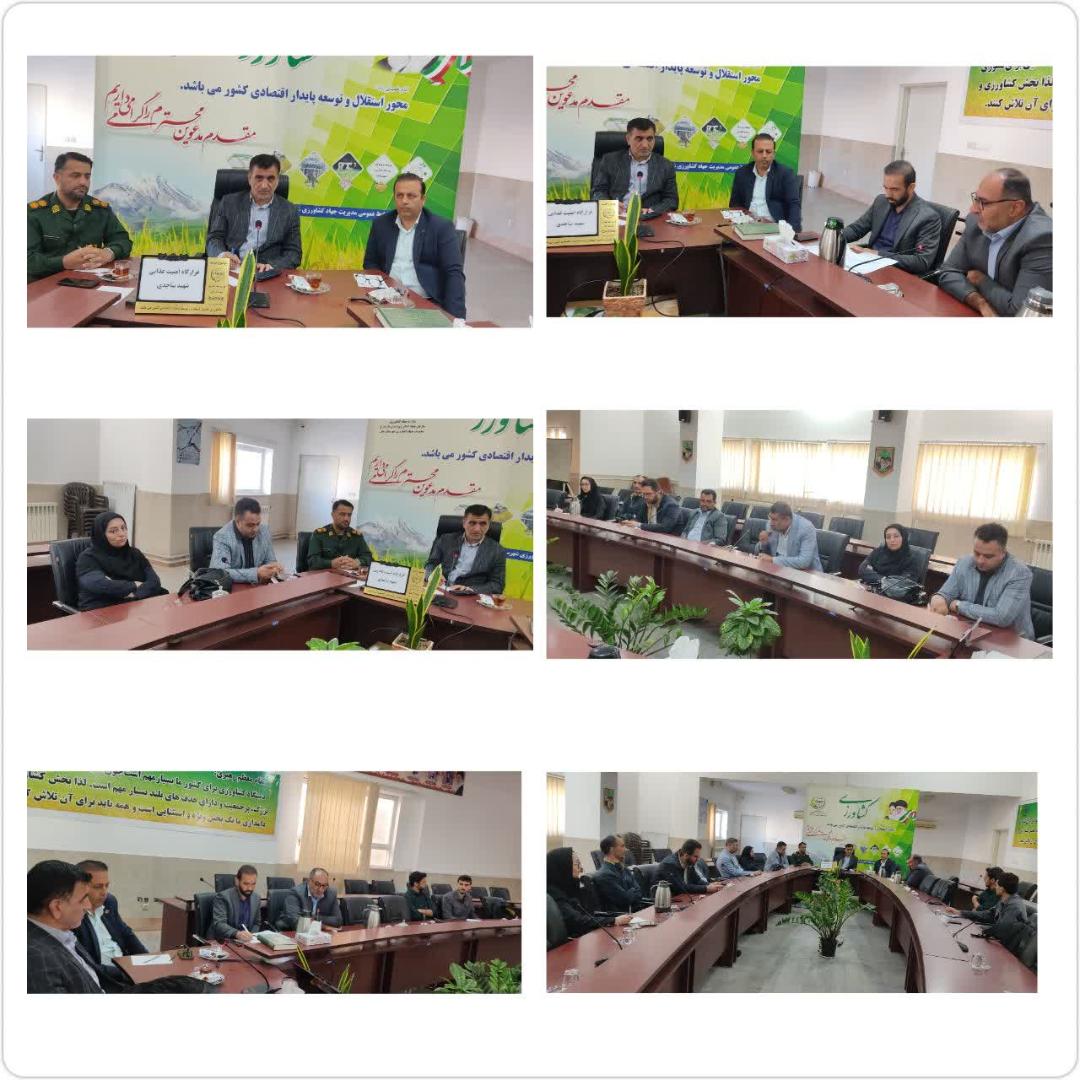 بابل در خط مقدم مبارزه با تب برفکي؛ هم‌افزايي براي امنيت غذايي دامداران?