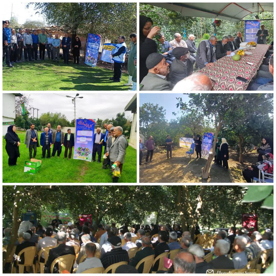 برگزاري 24 کارگاه آموزشي و دو رزمايش تخصصي در راستاي تقويت پدافند غيرعامل کشاورزي در بابل