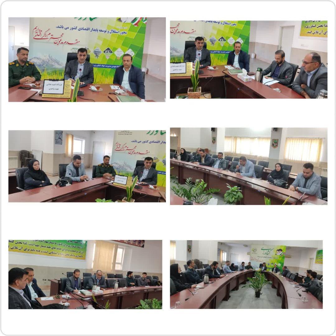 بابل در خط مقدم مبارزه با تب برفکي؛ هم‌افزايي براي امنيت غذايي دامداران