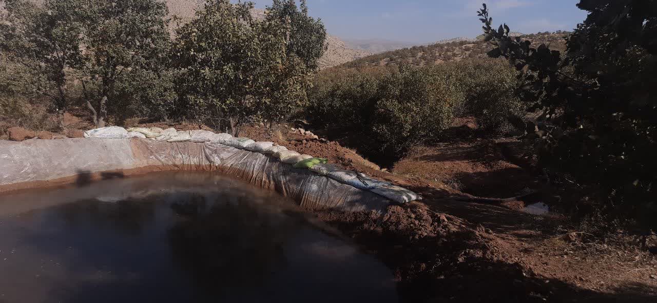 کشت غيرقانوني گياه ممنوعه در اراضي ملي فيروزآباد کرمانشاه متوقف شد