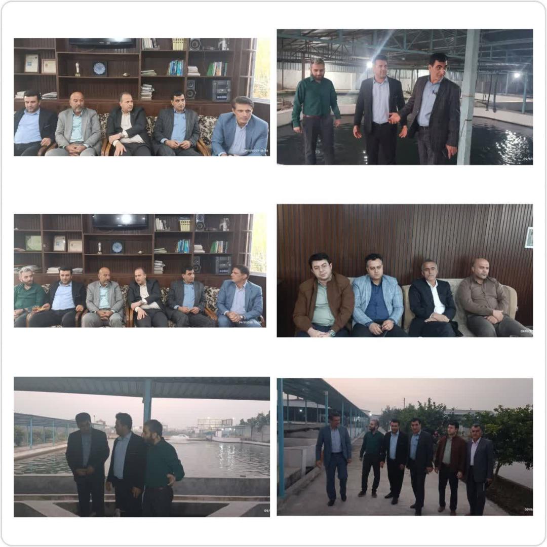 بازديد مقامات ارشد بابل از مزرعه پرورش ماهي خاوياري با ظرفيت توليد 40 تن در سال