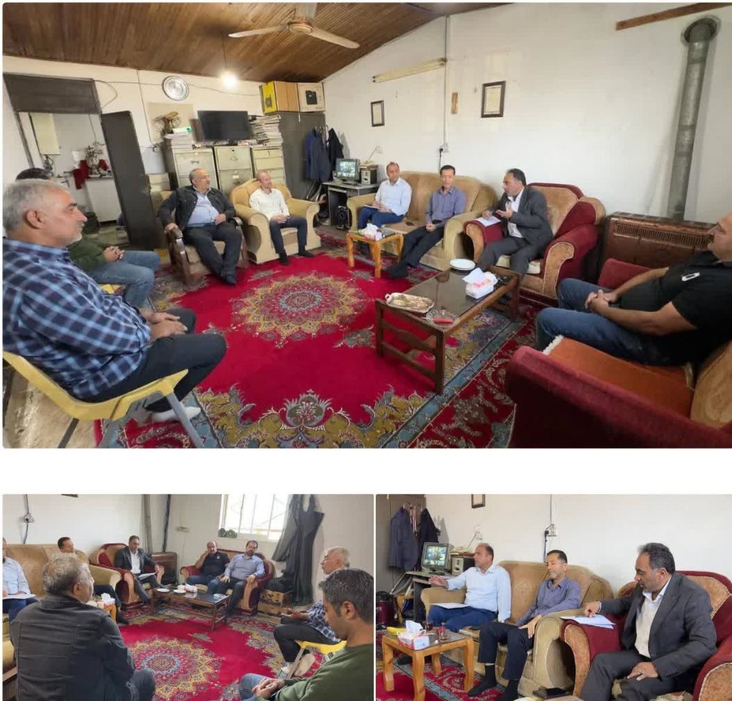 ضربان حیات در دریا؛ برنامه‌ریزی جامع برای تکثیر طبیعی ماهی سفید در سواحل تنکابن و رامسر