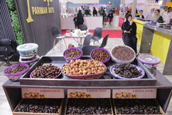 بازرگانان و فعالان اقتصادي از غرفه اتاق خرمشهر در نمايشگاه خرما بازديد کردند