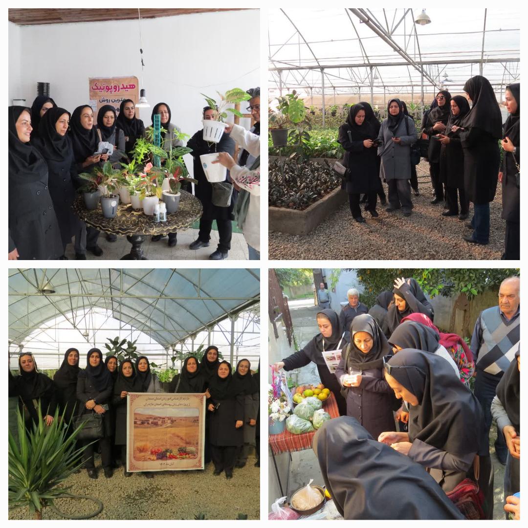 ?  بازديد کارشناسان ترويج و امور زنان استان سمنان از فعاليت زنان روستايي قائم شهر