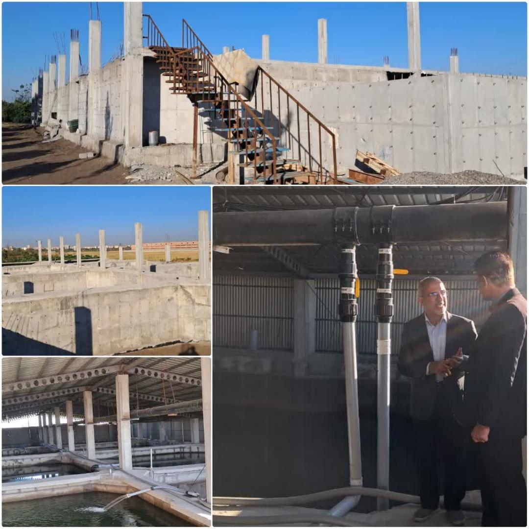 حمايت شيلات مازندران از توسعه مزارع خاوياري در بخش مرکزي بابل