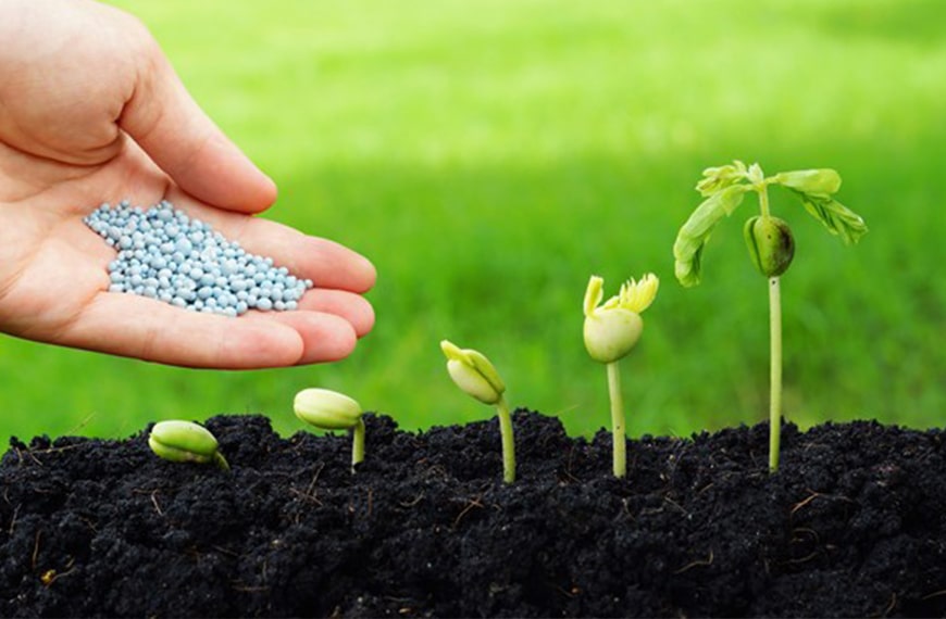 روند افزايشي تأمين کود شيميايي در گلستان