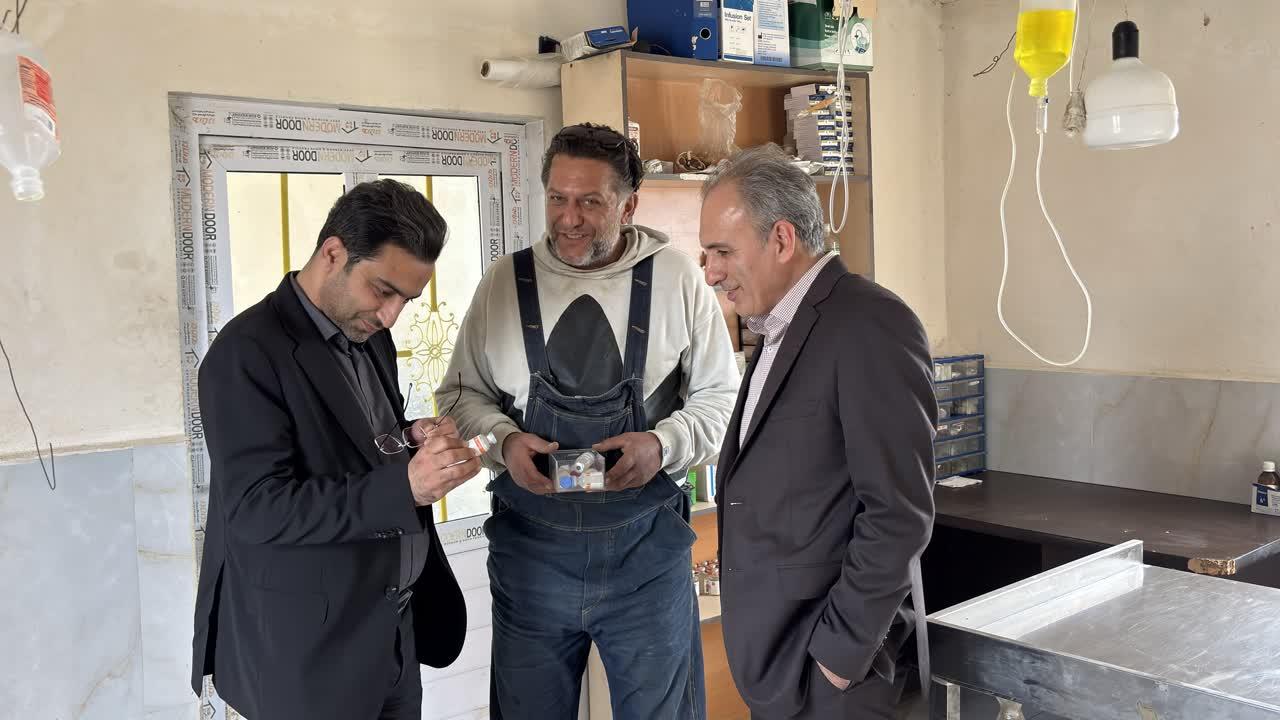 همکاري اداره کل دامپزشکي مازندران و دانشگاه براي مديريت اصولي سگ‌هاي بلاصاحب