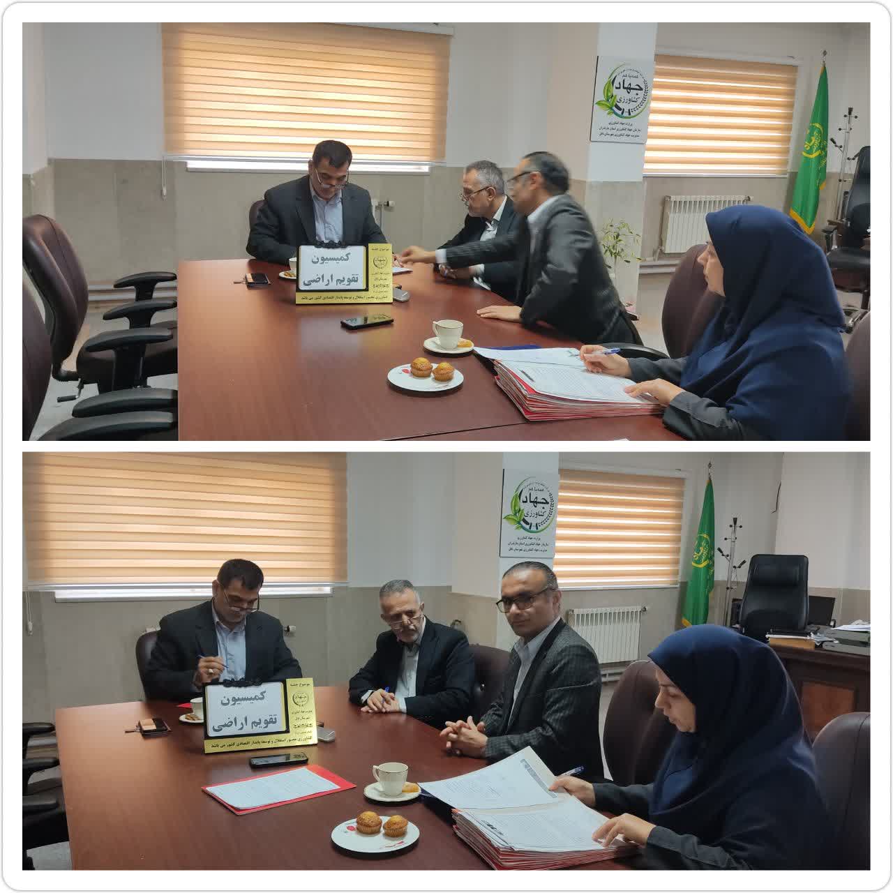 قيمت‌گذاري 15 پرونده امور اراضي زراعي و باغي در بابل