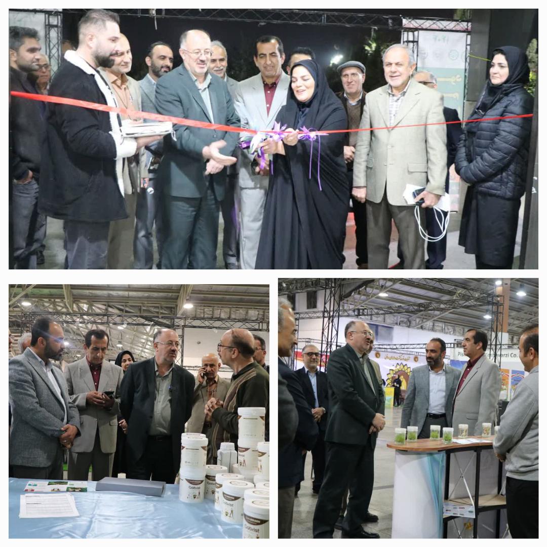 عرضه نهاده‌هاي سالم و مجوز نخستين توليد نهال «گريد يک» در مازندران