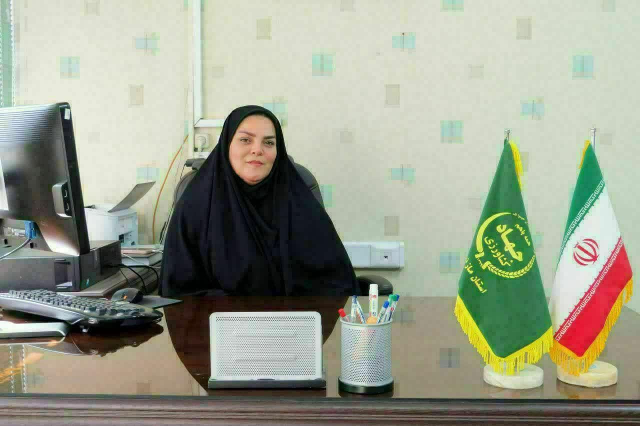 کشت 529 هکتار سير خشک و تر در مزارع قائم شهر /پيش بيني توليد 3800 تني