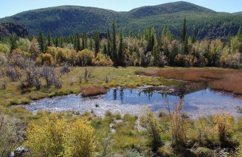 وکاله آریا للأنباء