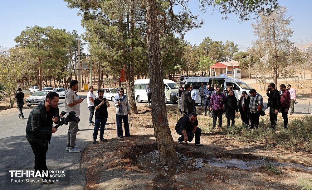 خبرگزاری آریا