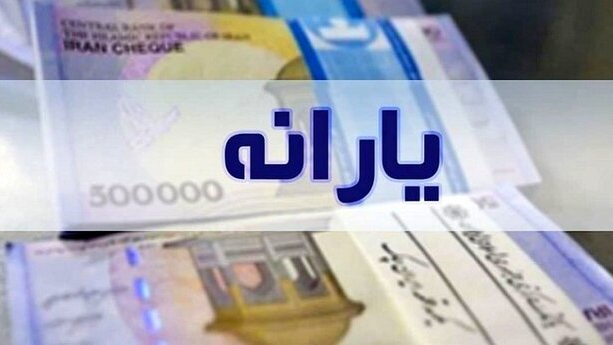 وزارت تعاون در حذف یارانه ثروتمندان کوتاهی کرده است/ گزارش استنکاف از قانون به قوه قضائیه ارسال می‌شود