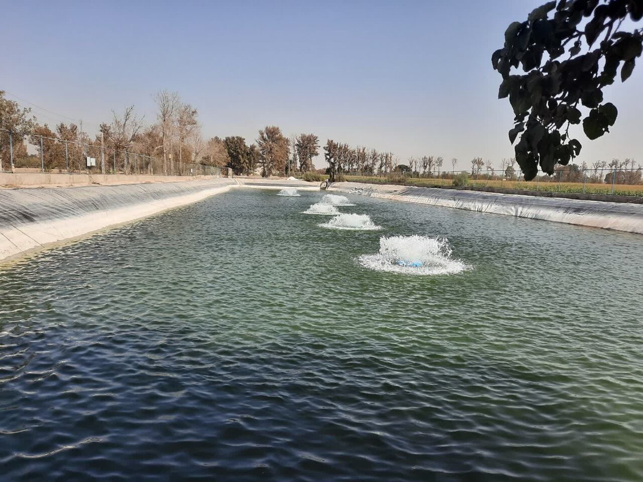 خبرگزاری آریا