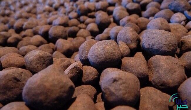 پذيرش 5 انبار جديد براي معاملات گواهي سپرده گندله در بورس کالاي ايران