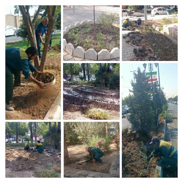 آغاز عمليات بازپيرايي بوستان‌هاي منطقه 20