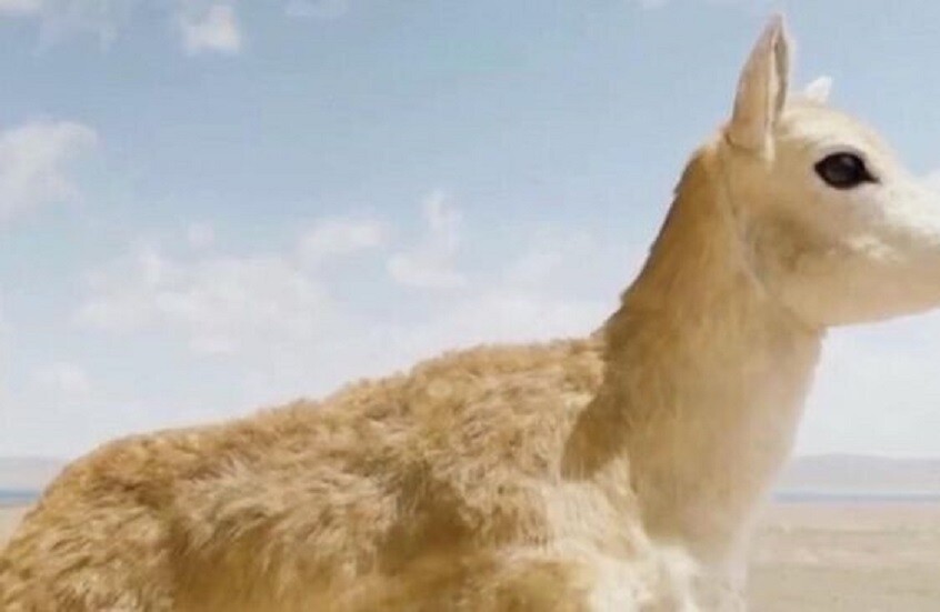 وکاله آریا للأنباء