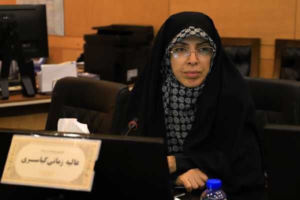 اقدامات فرزانه صادق در حوزه مسکن جلوه‌اي از شکل‌گيري نگاه مادرانه‌ در وزارت راه و شهرسازي است