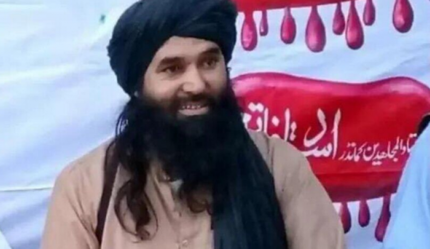 سرکرده ارشد طالبان پاکستان کشته شد