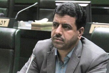 بازار رها و مردم زیر فشار معیشی قرار دارند/ هشدار درباره شیوع تب برفکی در دام ها