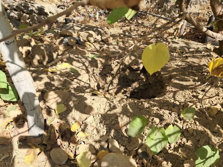 جلوگيري از حفر چاه‌هاي عميق غيرمجاز در حريم منطقه 22