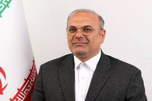 زندگی مردم در کشور وابسته به نرخ ارز و دلار شده است/ انتظار می رود دولت در تحقق برنامه هفتم جدی تر عمل کند