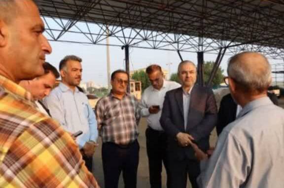 ضرورت اصلاح استخرهای پرورش میگو برای توسعه صادرات