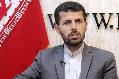 ديدار و گفت و گو پاپي زاده با مديرعامل توانير/ تاکيد بر حل مشکلات برق دزفول محور جلسه