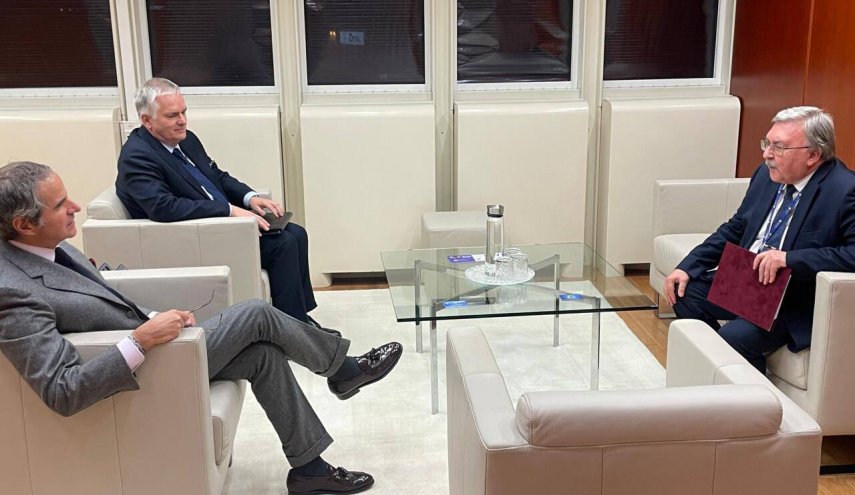 مدیرکل آژانس بین‌المللی انرژی اتمی و سفیر روسیه در وین درباره ایران رایزنی کردند