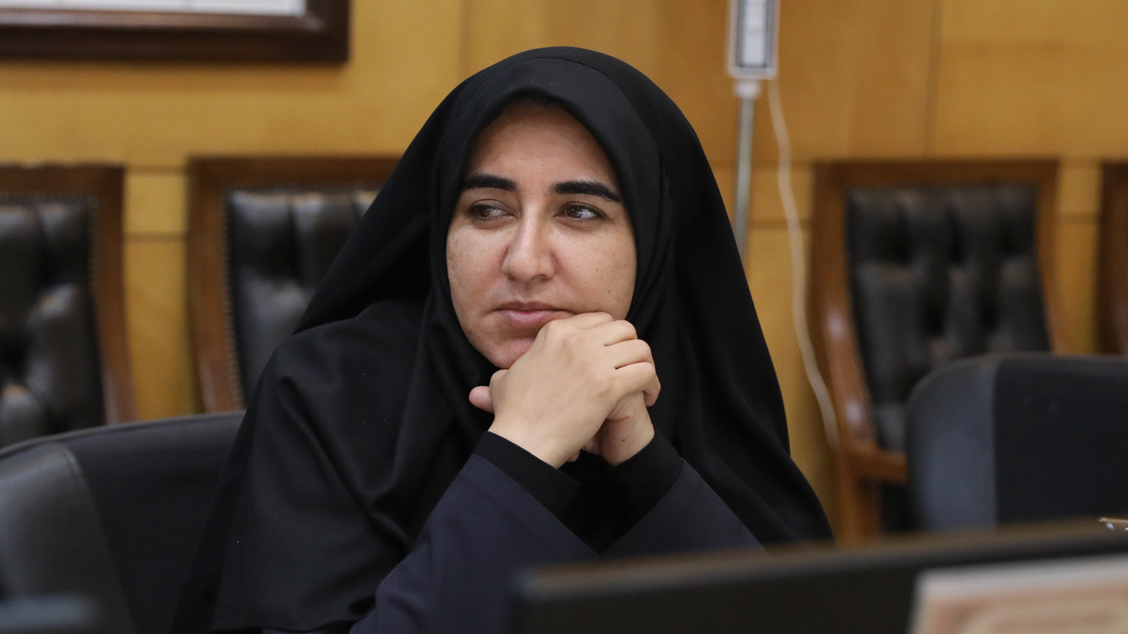 بررسي زمينه‌هاي سرمايه‌گذاري در بخش‌هاي معدن، نفت و گاز و کشاورزي ايلام