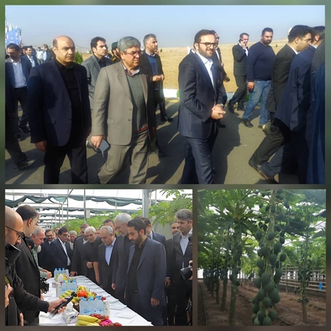 بازدید مدیرعامل بانک کشاورزی و وزیر اقتصاد از پروژه راهبردی «گوزل طبیعت ارس»/  تأکید بر تقویت سرمایه‌گذاری و توسعه اقتصاد صادرات‌محور