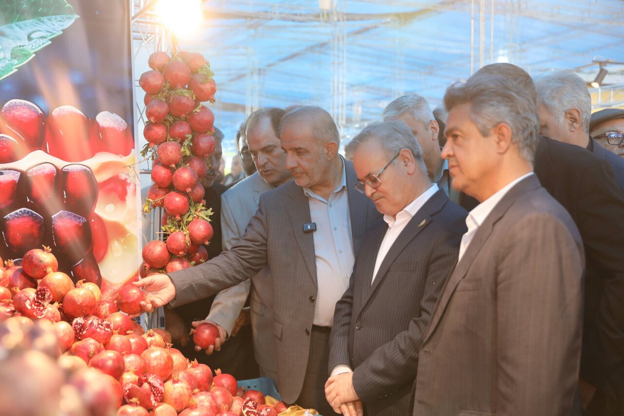 افتتاح نمايشگاه چهارمين جشنواره ملي انار ساوه