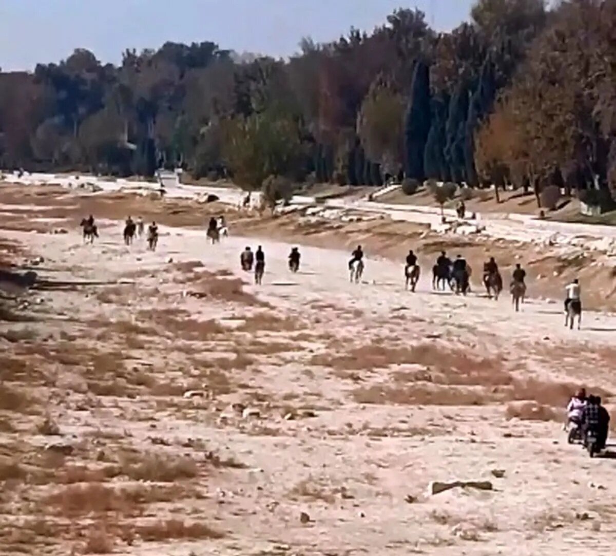 خبرگزاری آریا