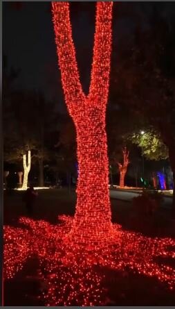 آماده‌سازي بوستان ملت براي برگزاري جشنواره نور پايتخت