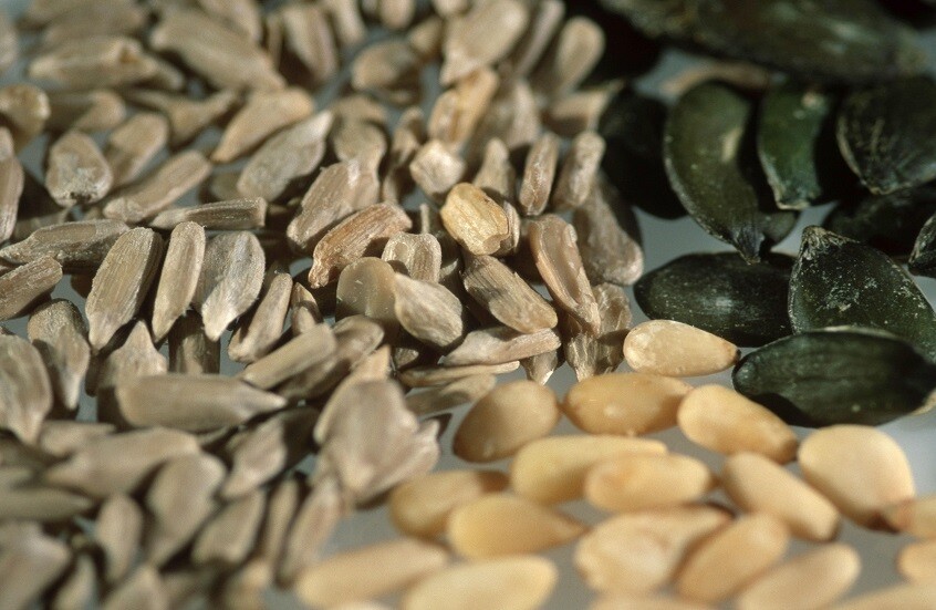 وکاله آریا للأنباء