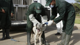 وکاله آریا للأنباء