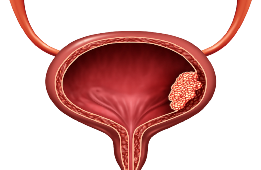 وکاله آریا للأنباء