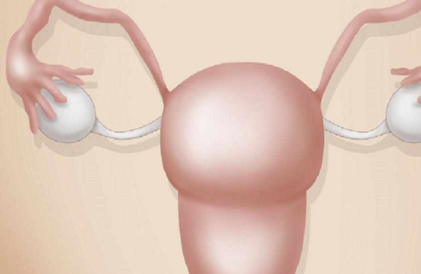 وکاله آریا للأنباء