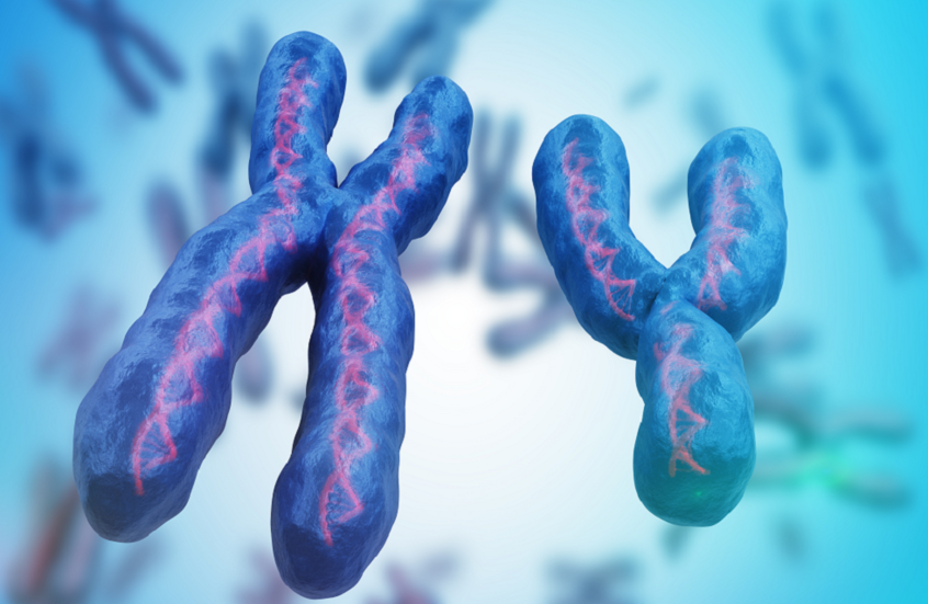 وکاله آریا للأنباء