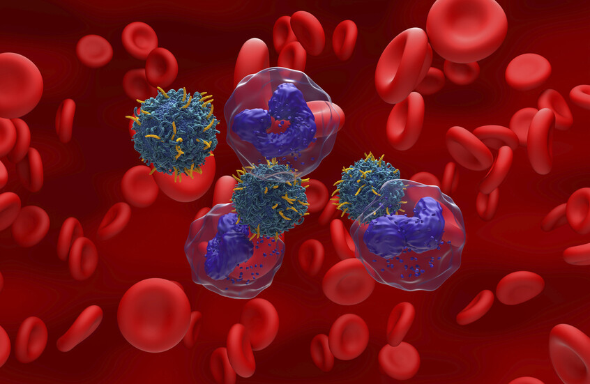 وکاله آریا للأنباء