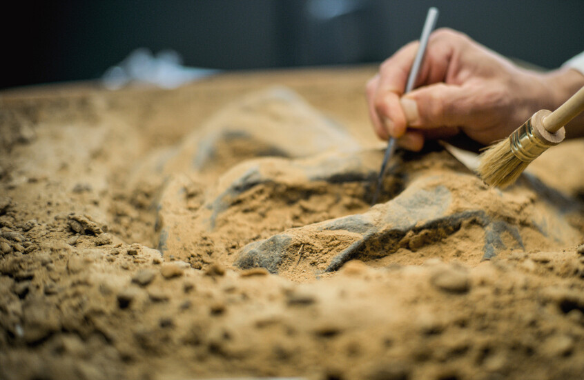 وکاله آریا للأنباء