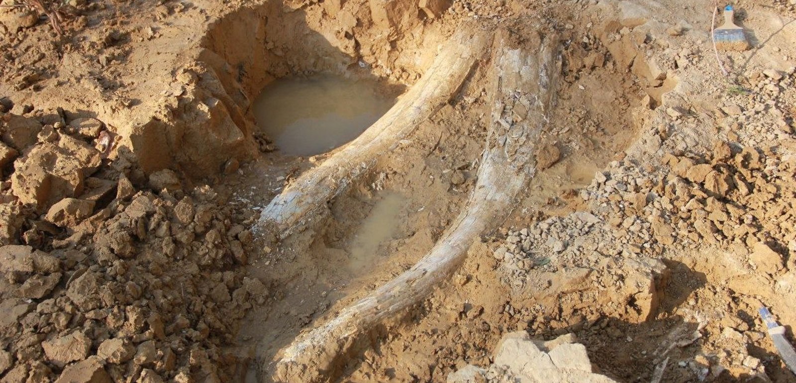 وکاله آریا للأنباء