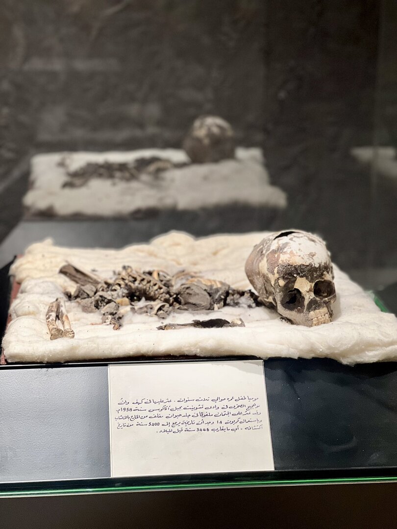 وکاله آریا للأنباء