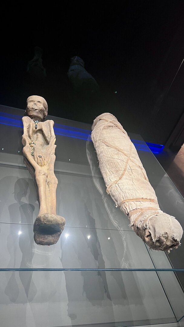 وکاله آریا للأنباء