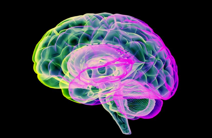 وکاله آریا للأنباء